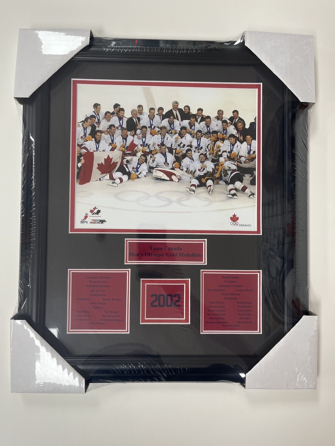 2002 MENS OLYMPIC GOLD - TEAM CANADA 13X16 FRAME