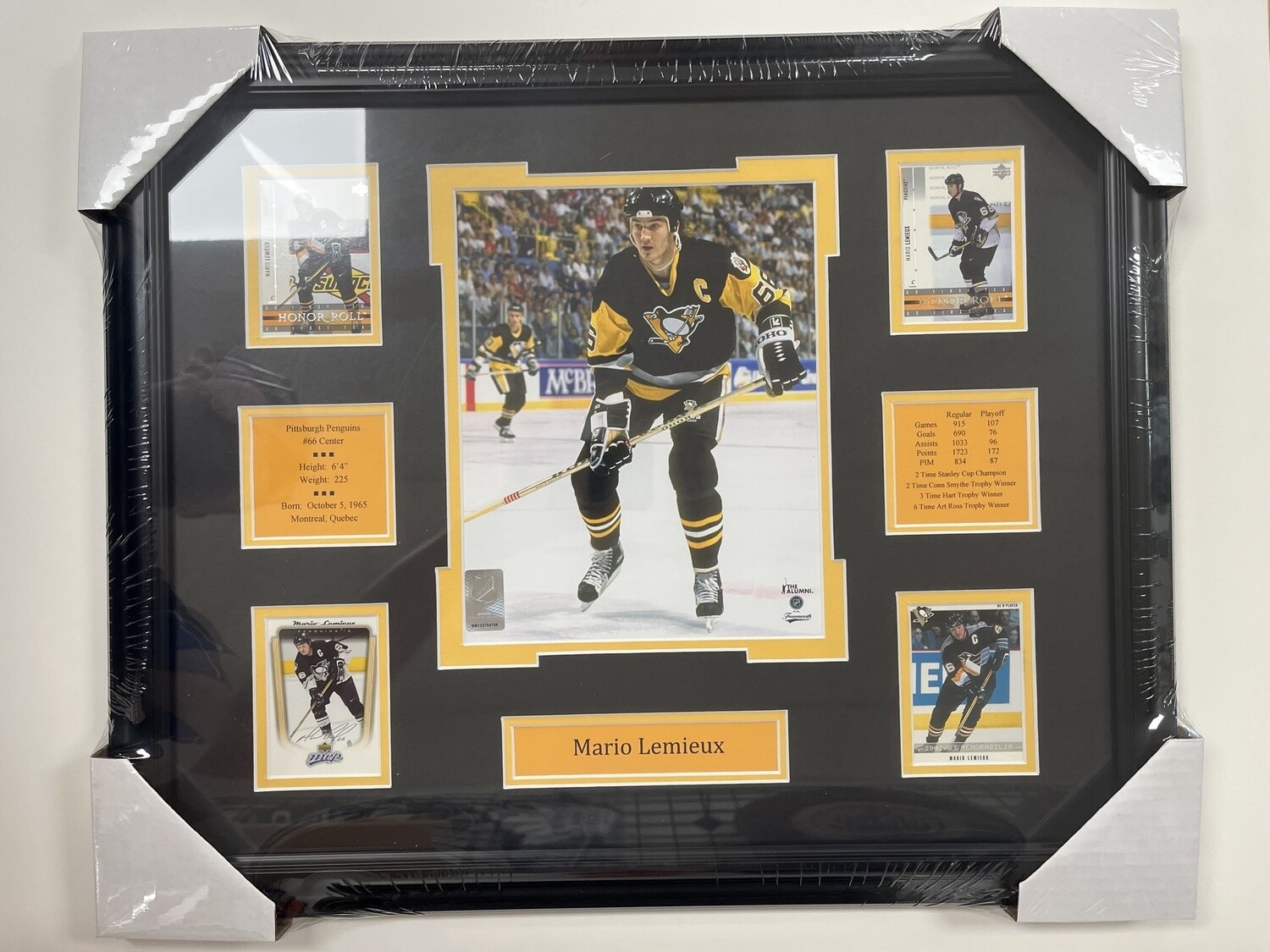MARIO LEMIEUX - PITTSBURGH PENGUINS 16X20 FRAME