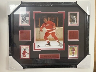 ALEX DELVECCHIO - DETROIT RED WINGS 16X20 FRAME