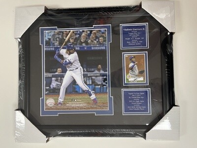 VLADIMIR GUERRERO JR. - TORONTO BLUE JAYS 13X16 FRAME