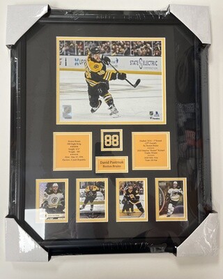 DAVID PASTRNAK - BOSTON BRUINS 16X20 FRAME