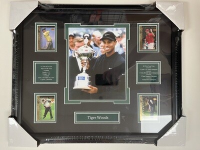 TIGER WOODS - GOLF 16X20 FRAME