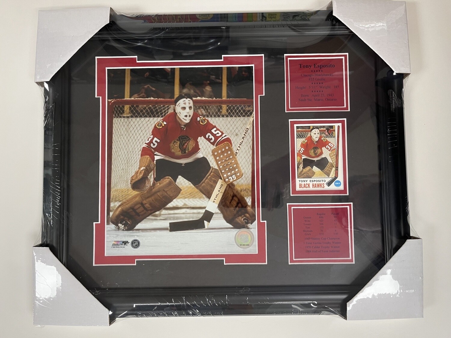 TONY ESPOSITO - CHICAGO BLACKHAWKS 13X16 FRAME
