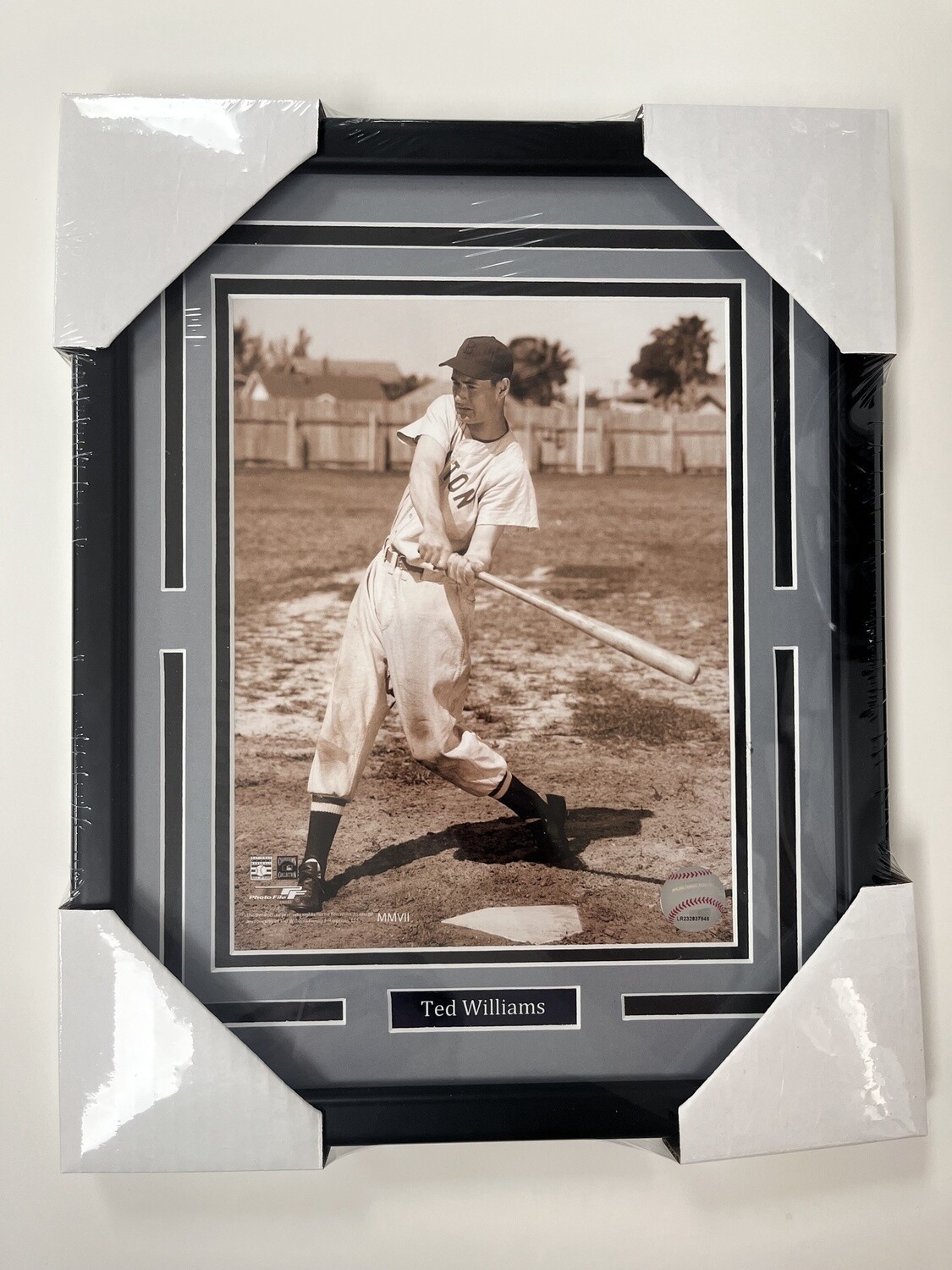 TED WILLIAMS - BOSTON RED SOX 11X14 FRAME