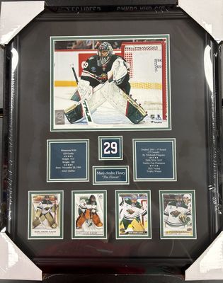 MARC-ANDRE FLEURY - MINNESOTA WILD 16X20 FRAME