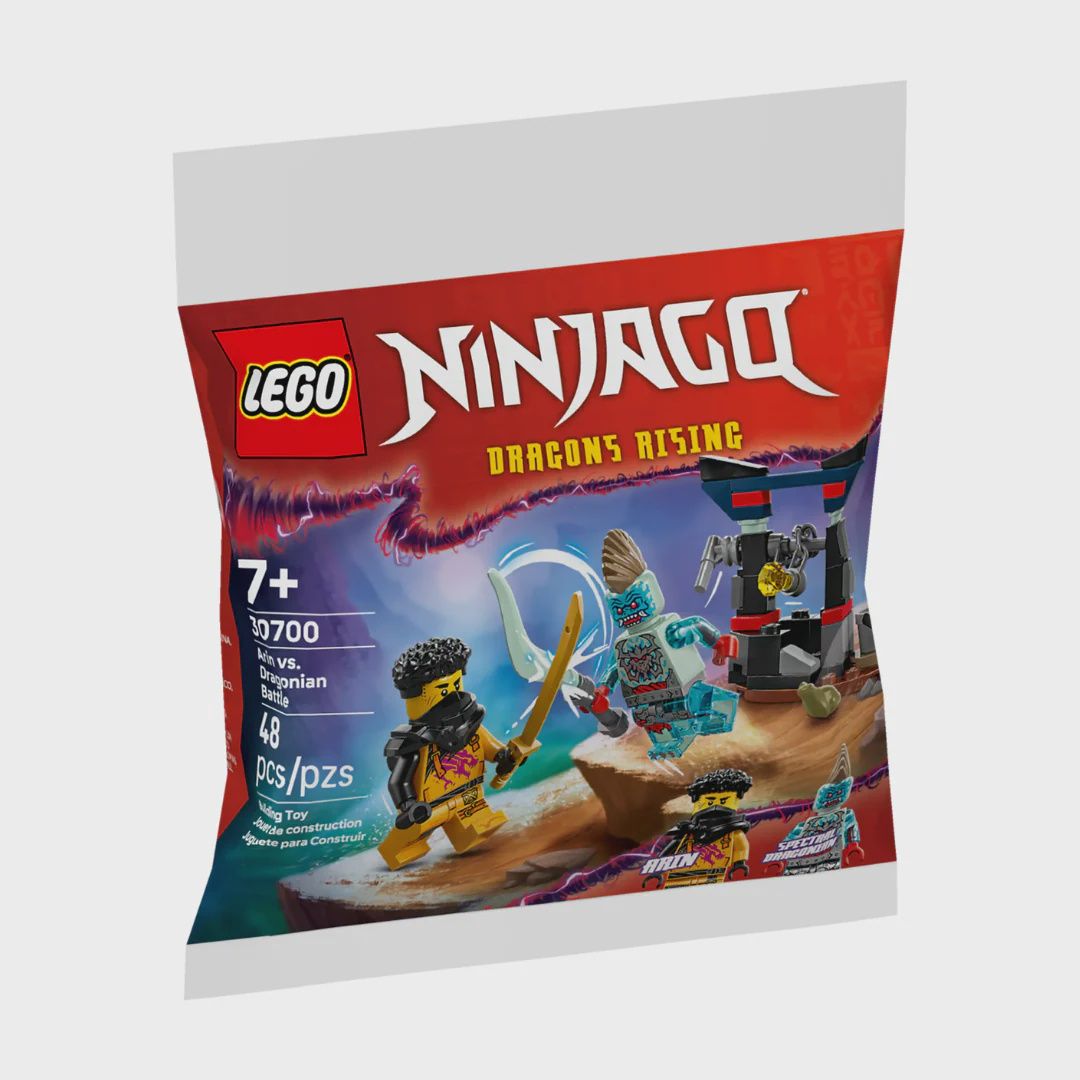 LEGO NINJAGO ARIN VS DRAGONIAN BATTLE 30700