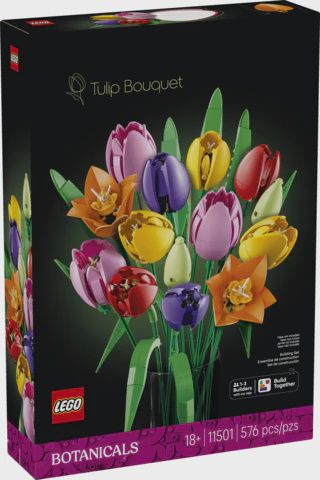 LEGO BOTANICALS TULIP BOUQUET 11501