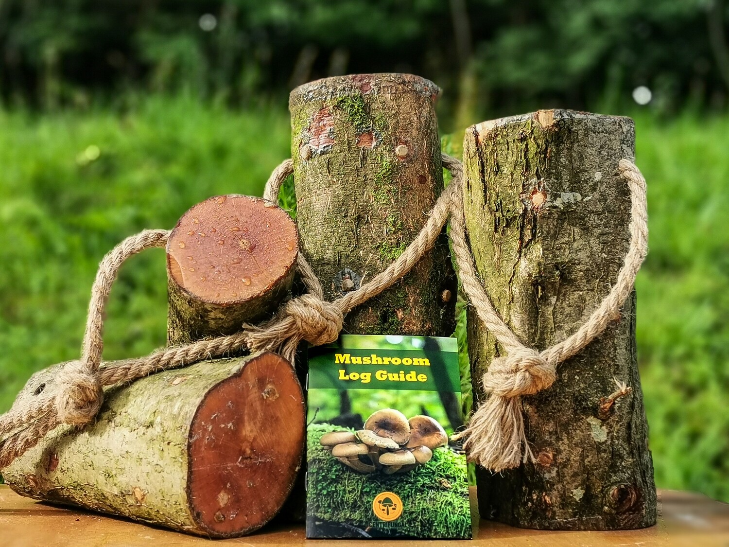 Ready To Grow Gourmet Mushroom Log [Pre-Inoculated] 30cm