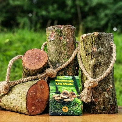Pre-Inoculated Mushroom Logs