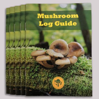 What Is a Mushroom Log and How to Care For One