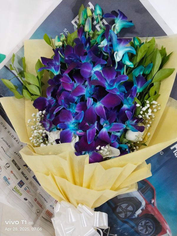 Orchids 