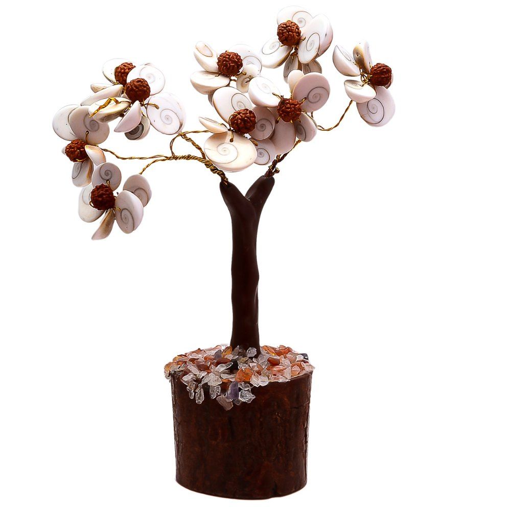Gomathi Chakra - Rudraksha Tree