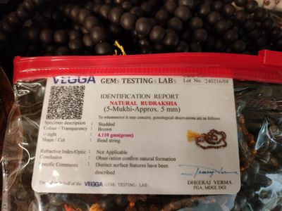 5 face Rudraksha Mala- 5mm