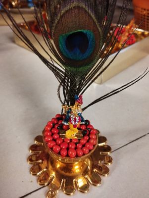 Red gunjan krishna-gundhu mani krishna (2)