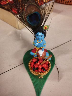 Red gunjan krishna-gundhu mani krishna (3)