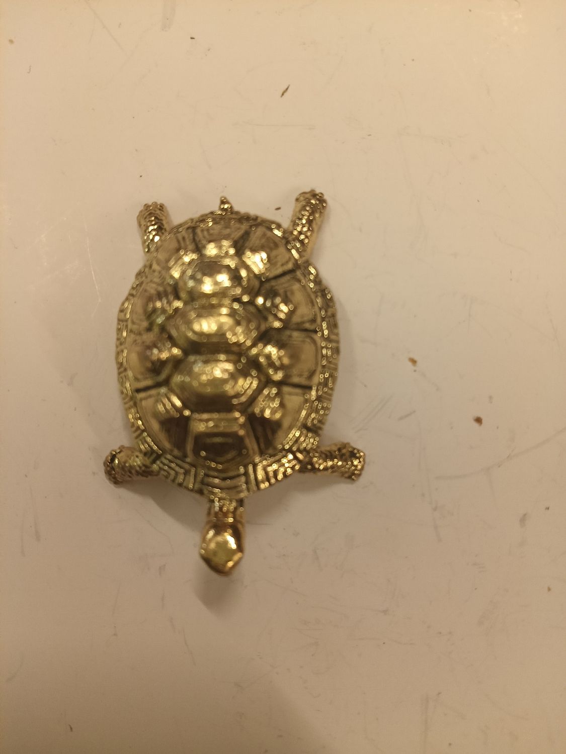 Brass tortoise