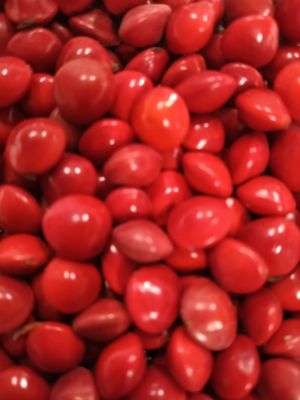 Red gunjan seeds (100)grms