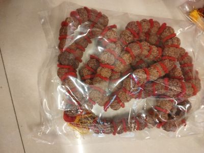 Rudrakshi mala