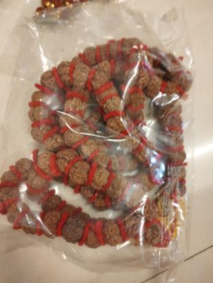 Rudrakshi mala