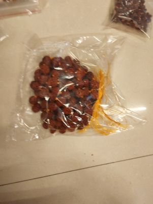 Rudrakshi mala