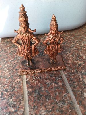 Copper Panduranga vitalla