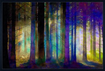 MikoArt-GiclëeSerieLarge-Canvas-100x150cm-0025
