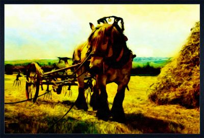 MikoArt-GiclëeSerieLarge-Canvas-100x150cm-0020