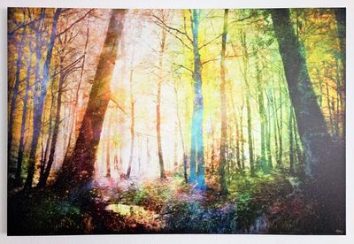 MikoArt-Kleurproef Giclée op Canvas-0005  150x100cm