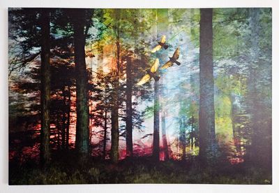 MikoArt-Kleurproof Giclée op Canvas-0023  150x100cm