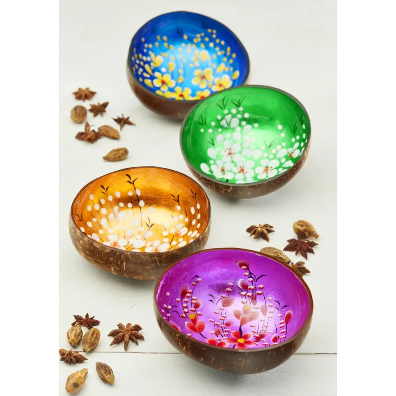 Bols noix de coco recyclés