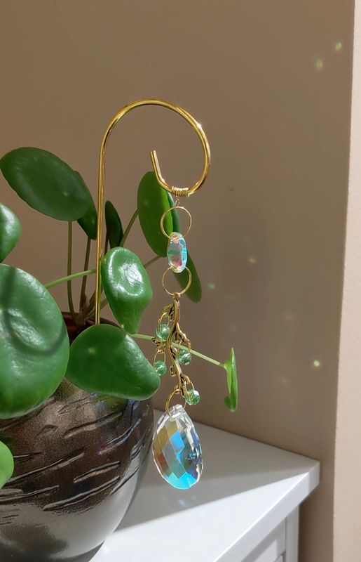 Attrape soleil à planter