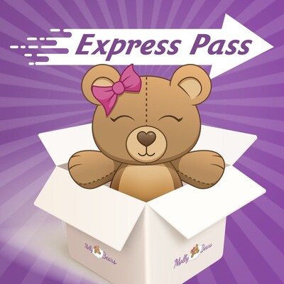 Express Pass MB-Express-Pass