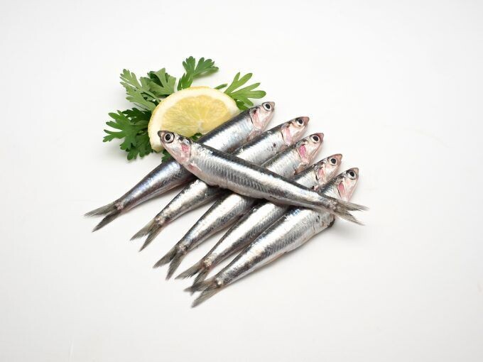 Boquerones (bandeja 1kg congelado)