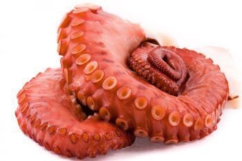 Patas de pulpo cocidas (3 patas, 500g aprox.)