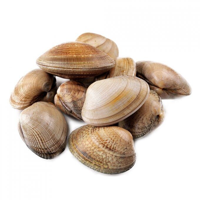 Almejas (bolsas 1kg congelado)