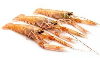 Cigalas (caja 1kg, 20/25 piezas congelado)
