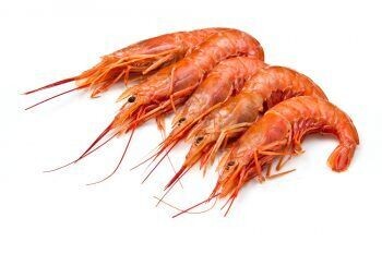 Gamba roja (caja 1kg, 30/50 piezas, congelado)