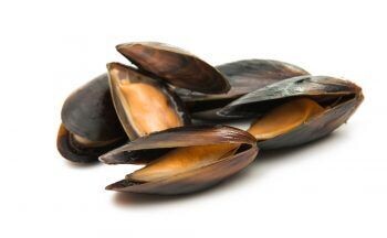 Mejillón gallego cocido (bolsa 1kg)