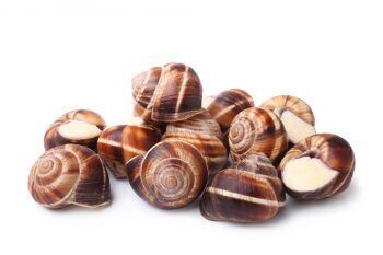 Caracoles (bolsa 2,5kg congelado)