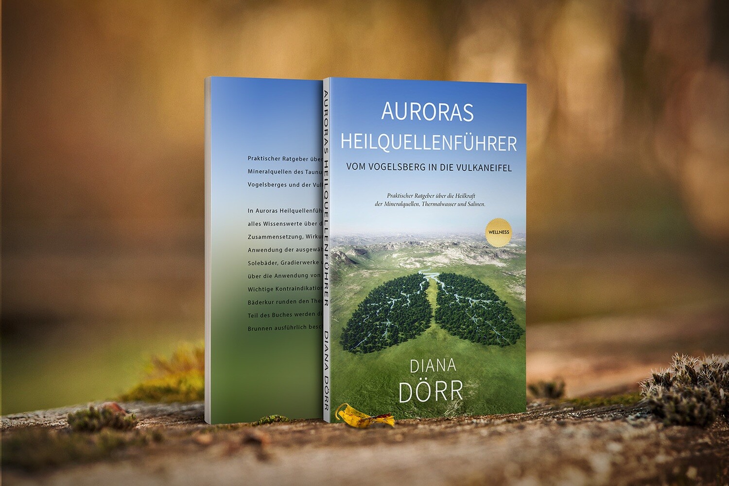 Auroras Heilquellenführer - Diana Dörr