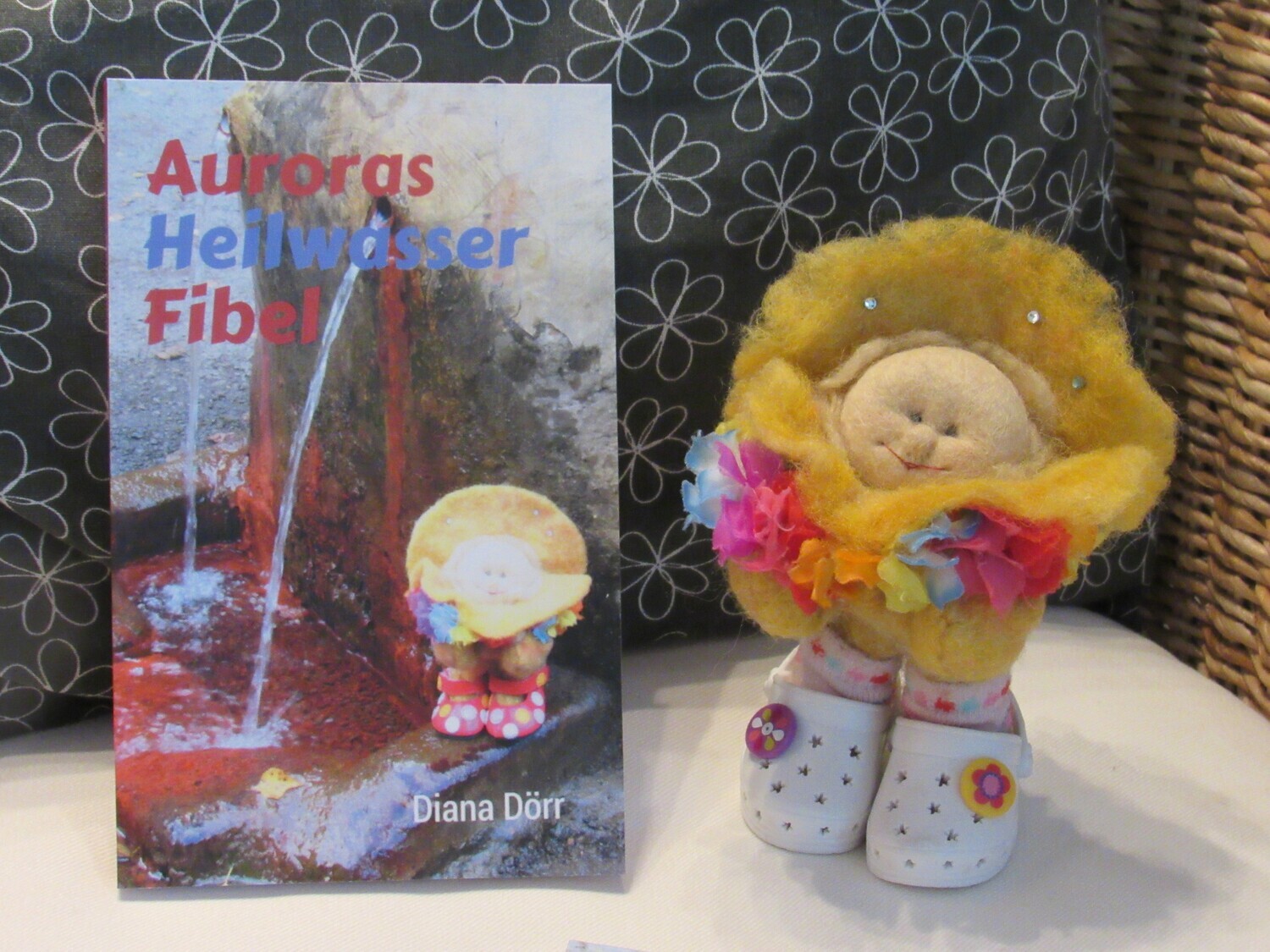 Heilwasserfibel Diana Doerr Buch