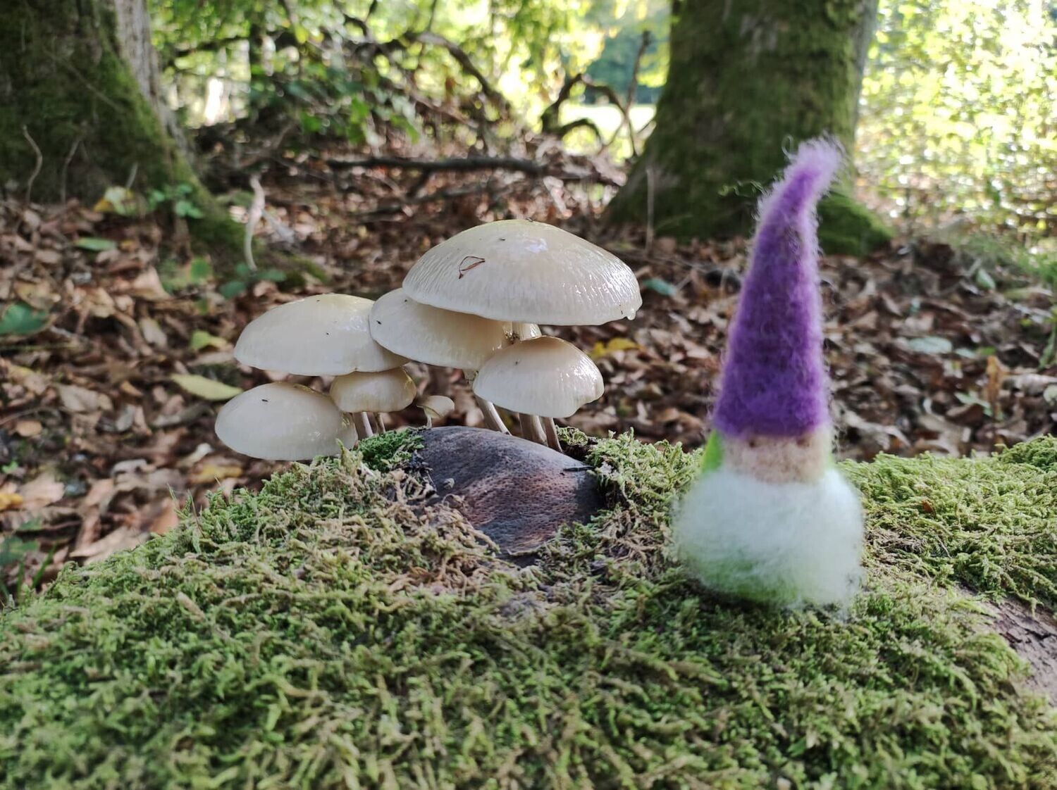 Mini gefilzter Wichtel 9 cm. Filzwichtel. Miniaturen. Zauberwald. Waldwichtel. Wichteltür. Dekoartikel