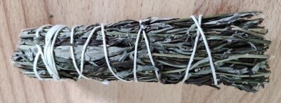Beifuß Smudge - Mugwort 11cm (11-15 Gramm)