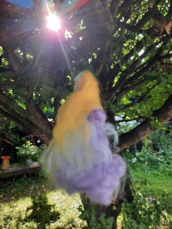 Faery und Avalon Connection Series