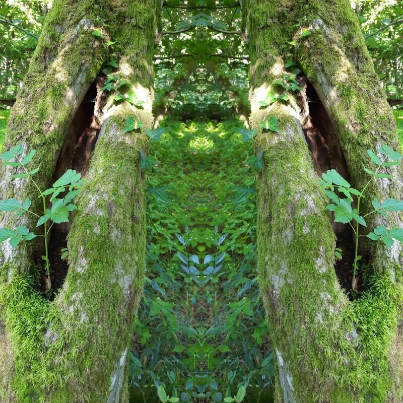 ​​​​​ Feen Reich der Goettin Morrigan Le Fay