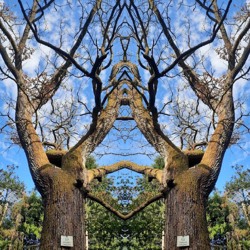 Outside Influence Protection Outside Influence Protection