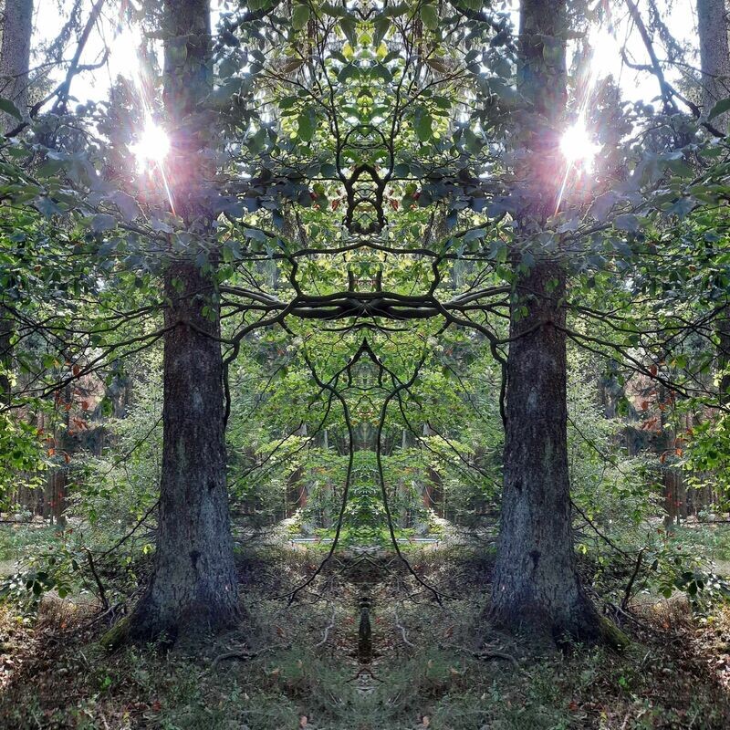 Die Verbindung zum Elfenland