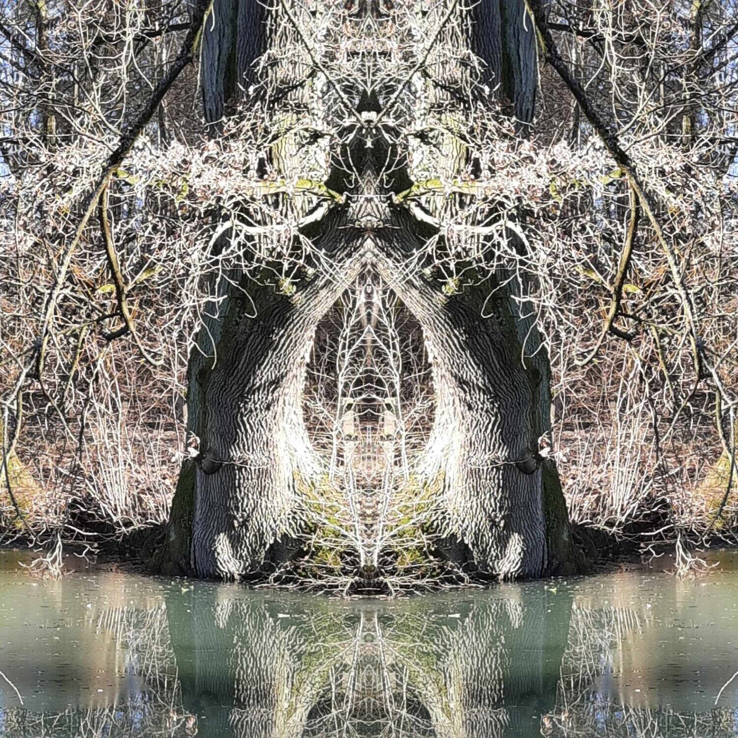 Feen-Geist des Weissen Phoenix Feen-Geist des Weissen Phoenix