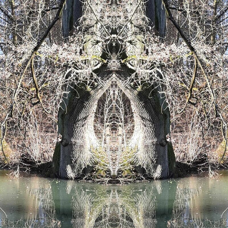 Feen-Geist des Weissen Phoenix