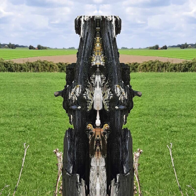 Familienstammbaum Karma Entfernung Familienstammbaum Karma Entfernung